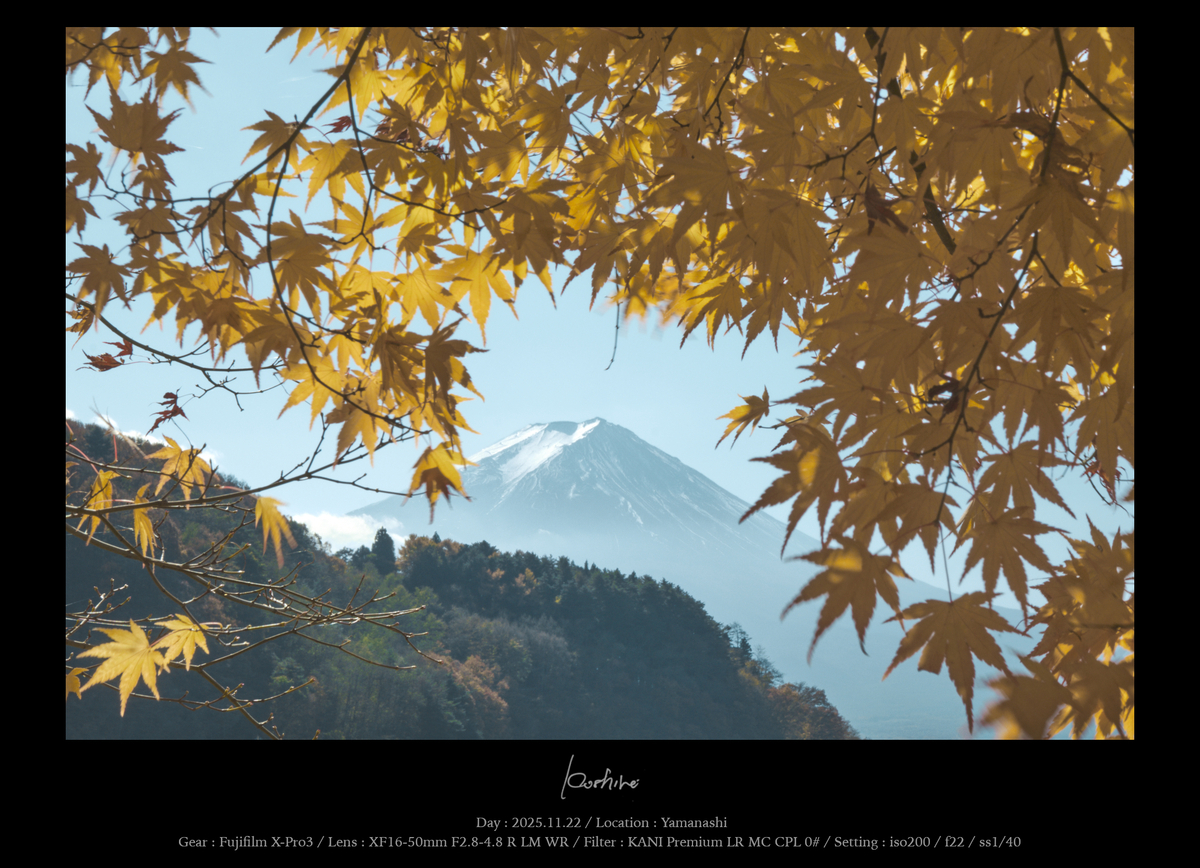 富士山と紅葉