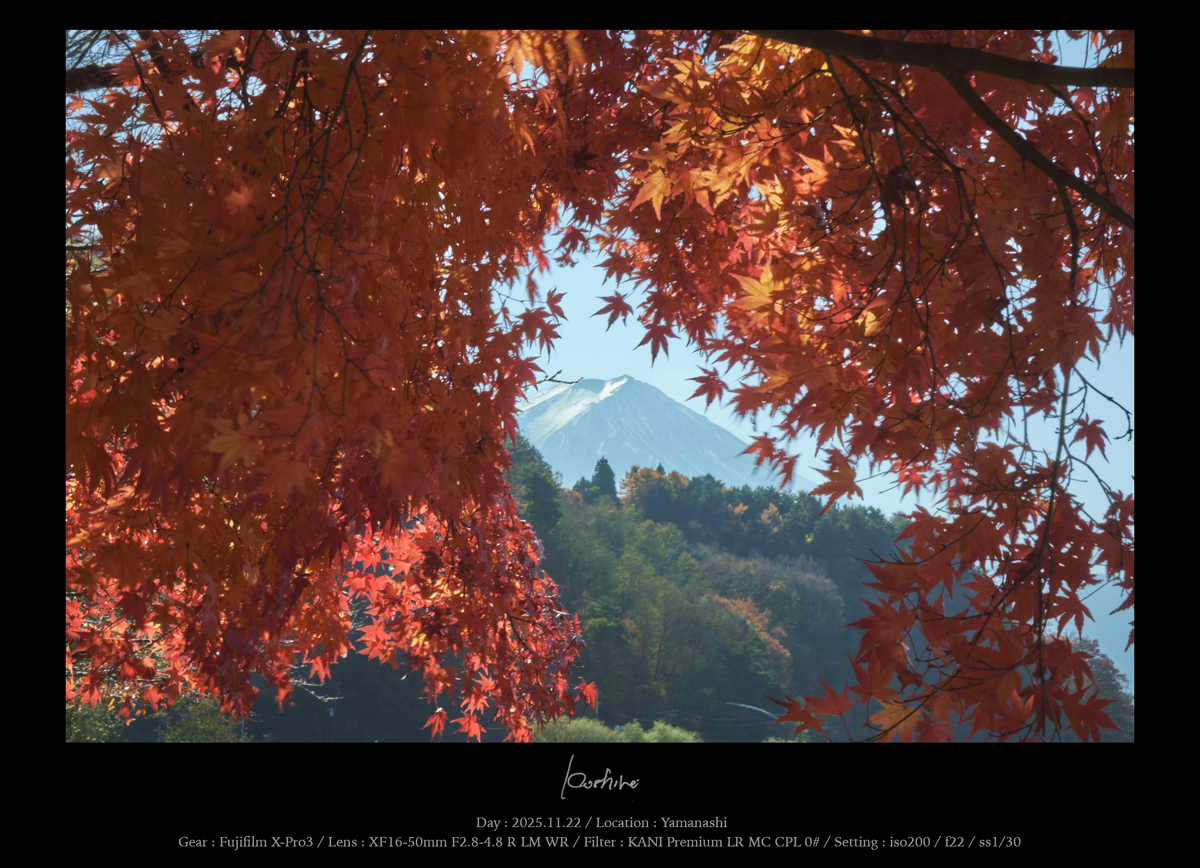 紅葉の間の富士山